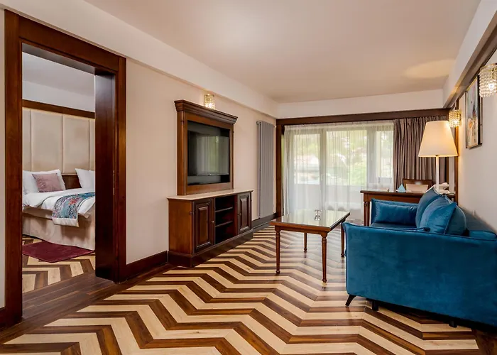 Hotel International